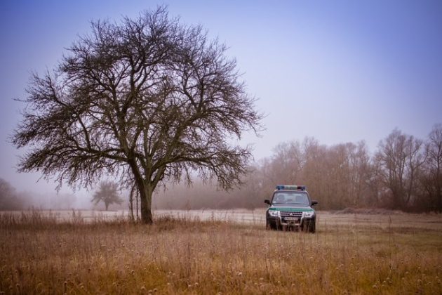 Wpadło 10 "kurierów". Przewozili 53 imigrantów z Iraku i Turcji