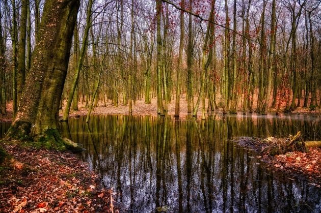 Wycieńczone małżeństwo utknęło na bagnach. Pomogli żołnierze i pogranicznicy