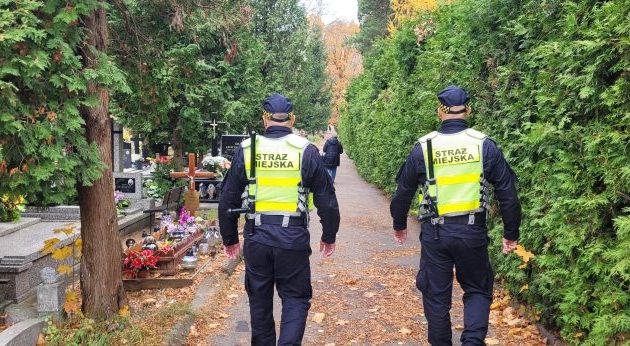 "Hieny cmentarne" szykują się do polowań. Strażnicy będą je tropić