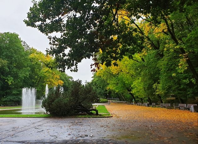 Ostatni weekend października. Jaka będzie pogoda w Białymstoku?