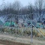 Kilkusetosobowa grupa migrantów przy Białowieży, w Kuźnicy spokojnie