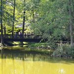 Kładka i pomost widokowy w Akcencie ZOO przejdą metamorfozę