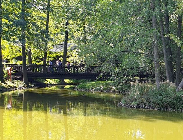 Kładka i pomost widokowy w Akcencie ZOO przejdą metamorfozę