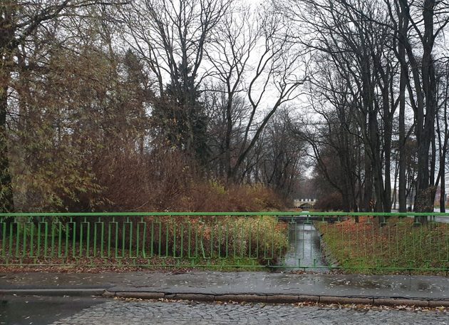 Mokry wtorek. Możemy się spodziewać opadów deszczu ze śniegiem