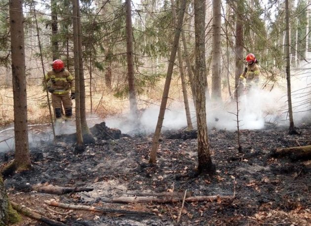 Migranci rozpalili ognisko w rezerwacie przyrody