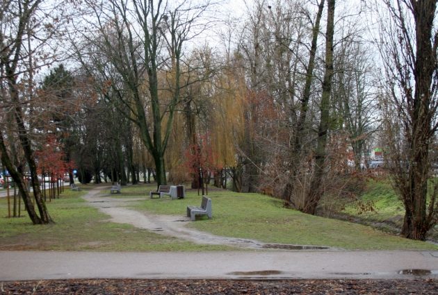 Parasole zostawmy w domu. Czwartek będzie suchy