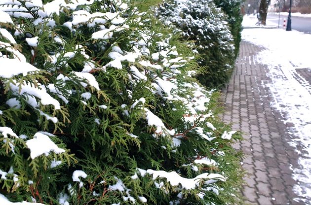 Dawno nie było tak zimno. W nocy temperatura spadnie do -14°C