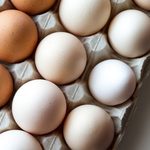 Sanepid ostrzega przed salmonellą! Wykryto ją w jajkach