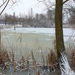 Śnieżny dzień w Białymstoku. Mróz nie odpuści