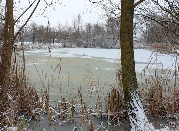 Śnieżny dzień w Białymstoku. Mróz nie odpuści