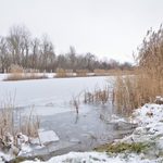 Kominowe Bajoro w Choroszczy – z nowymi lokatorami