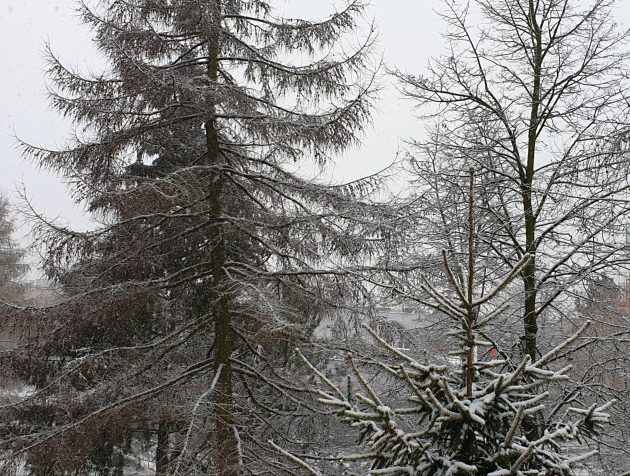 Półmetek tygodnia. Będzie mroźno, ale za to sucho