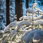 Pogoda na święta. Będzie mroźnie i słonecznie