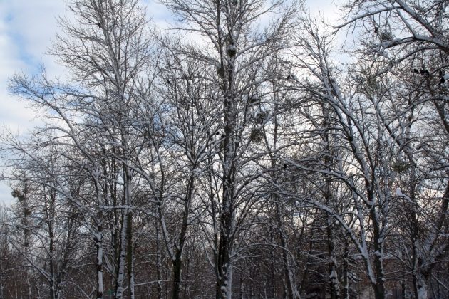 Może być ślisko. IMGW wydało ostrzeżenie o opadach marznących