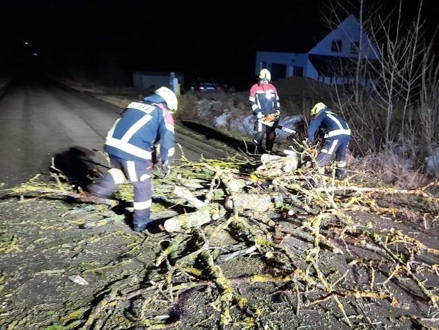 Tysiące domów bez prądu. Masowe awarie w Podlaskiem