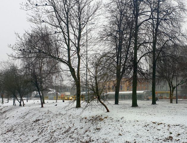 Półmetek tygodnia. Będzie zimno i mokro