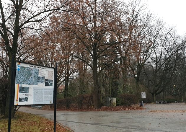 Wietrzny początek tygodnia. Ile będzie stopni?