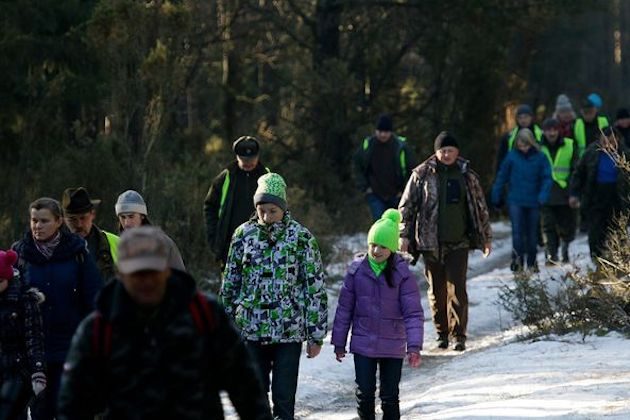 Biebrzański Park Narodowy szuka wolontariuszy. Będą pomagać przy liczeniu zwierząt