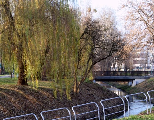 Pogoda w piątek zapowiada się na pełną wahań