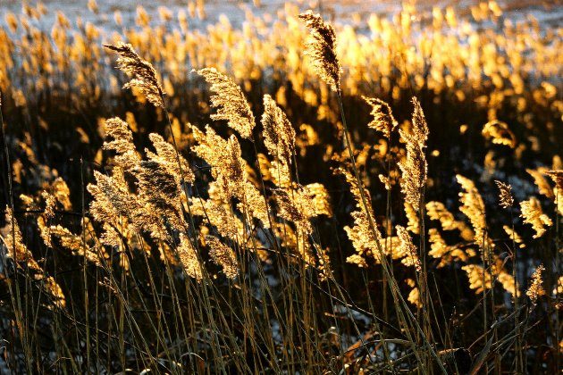 Mgły, ulotność, niedopowiedzenia - jakie są fotografie Jerzego Fedorowicza?