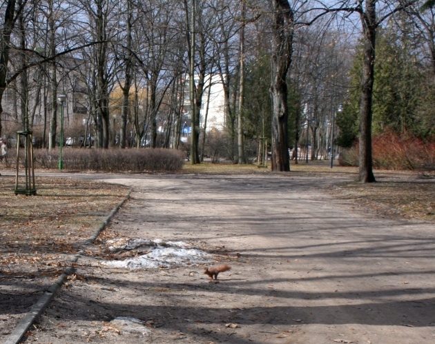 Szaro i ponuro. Zapowiada się deszczowa środa