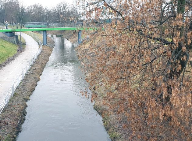 Pochmurny i deszczowy początek nowego tygodnia