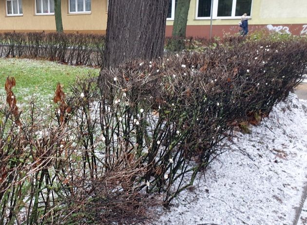 Do Białegostoku nadchodzi ochłodzenie