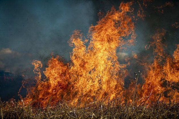 Ogromny pożar nad zalewem Siemianówka