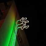 Kultowy neon "Żonkil" znów zaświecił!