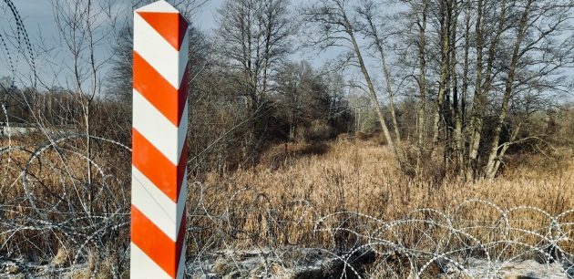 W masywie leśnym znaleziono zwłoki człowieka