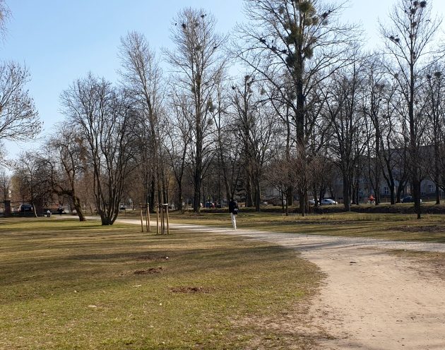 Jaką pogodę przyniesie półmetek miesiąca?