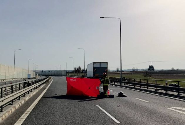 Policja szuka świadków śmiertelnego wypadku na S8