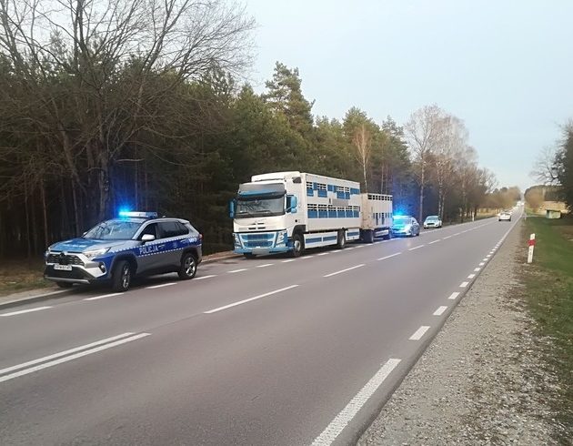 Przekroczył dopuszczalną prędkość. Teraz grozi mu grzywna do 30 tys. zł