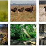 "W zakamarkach moich dróg" - wystawy fotograficzne