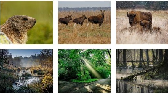 "W zakamarkach moich dróg" - wystawy fotograficzne