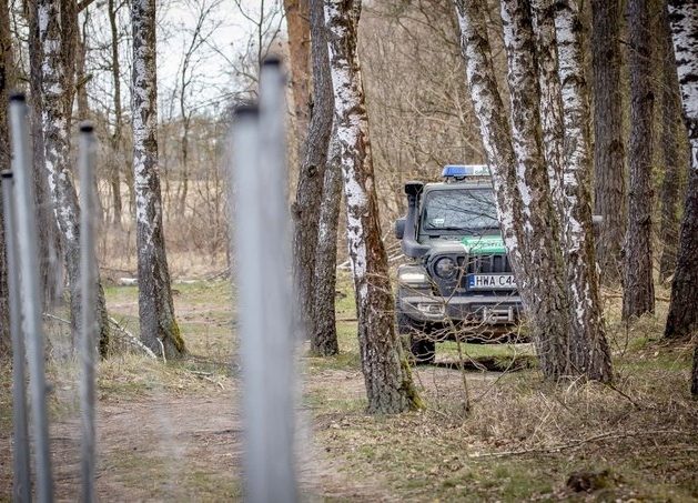 Migranci wciąż próbują dostać się do Polski. W ręce policji wpadli kolejni "kurierzy"