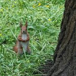 Środa pełna słońca. Może jednak popadać