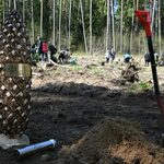 Akcja "Łączą nas drzewa". Zasadzili las i zakopali kapsułę czasu