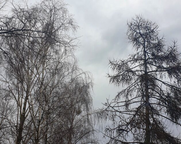 Uwaga! Synoptycy ostrzegają przed burzami z gradem