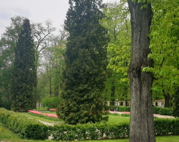 Półmetek miesiąca przyniesie nieco ochłodzenia. Jaka czeka nas pogoda w weekend?