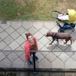 "Film balkonowy" - pokaz specjalny dla nauczycieli