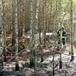 11 zastępów straży pożarnej gasiło pożar lasu