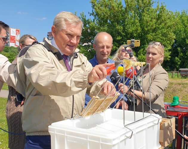 Czas zacząć miodobranie! Prezydent zebrał pierwszy miód z miejskiej pasieki