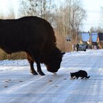 Fotografujesz Podlasie? Zgłoś swoje prace do konkursu im. Wiktora Wołkowa