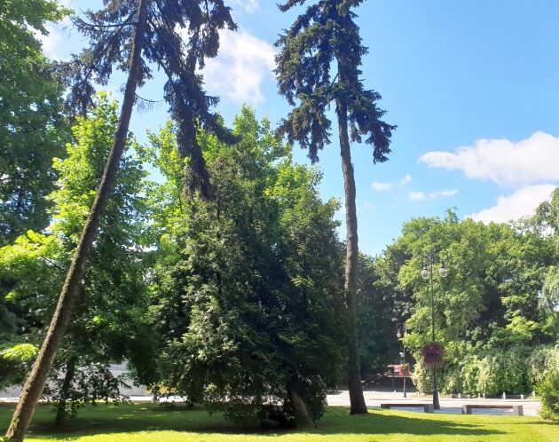 Pogoda w Białymstoku dopisze. Będzie ciepło i słonecznie