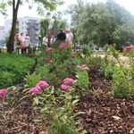 Powstał nowy park kieszonkowy i pierwszy w Białymstoku ogród deszczowy