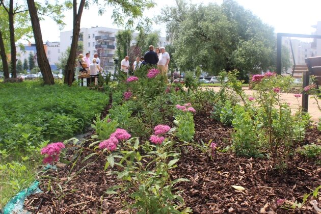 Powstał nowy park kieszonkowy i pierwszy w Białymstoku ogród deszczowy