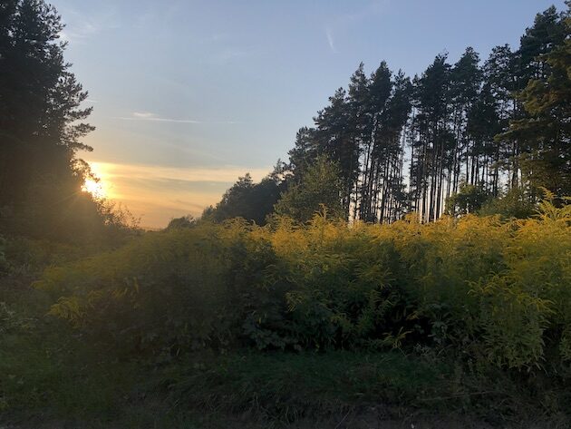 Poniedziałek zapowiada się ciepło i słonecznie