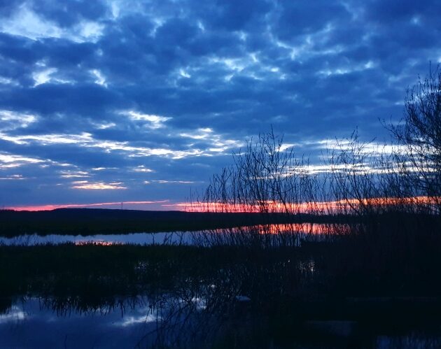 Na niebie pojawi się pełnia Księżyca Jesiotrów 