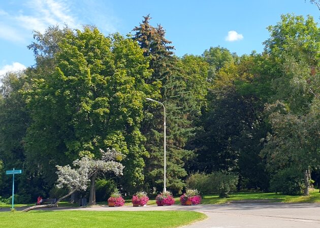 Gorący półmetek tygodnia. Ile będzie stopni?